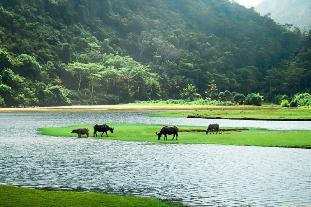 wisata pantai trenggalek